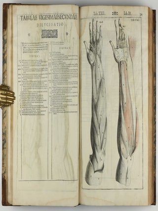 Tabulae anatomicae LXXIIX / De humani corporis fabrica libri decem. Edited by Daniel Bucretius / De formato foetu.