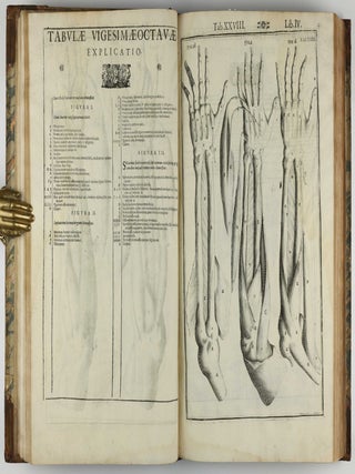 Tabulae anatomicae LXXIIX / De humani corporis fabrica libri decem. Edited by Daniel Bucretius / De formato foetu.