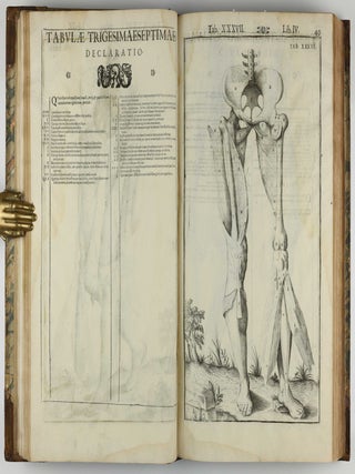 Tabulae anatomicae LXXIIX / De humani corporis fabrica libri decem. Edited by Daniel Bucretius / De formato foetu.