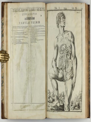 Tabulae anatomicae LXXIIX / De humani corporis fabrica libri decem. Edited by Daniel Bucretius / De formato foetu.