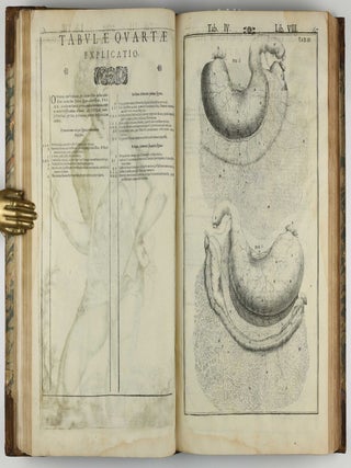 Tabulae anatomicae LXXIIX / De humani corporis fabrica libri decem. Edited by Daniel Bucretius / De formato foetu.