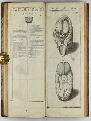 Tabulae anatomicae LXXIIX / De humani corporis fabrica libri decem. Edited by Daniel Bucretius / De formato foetu.