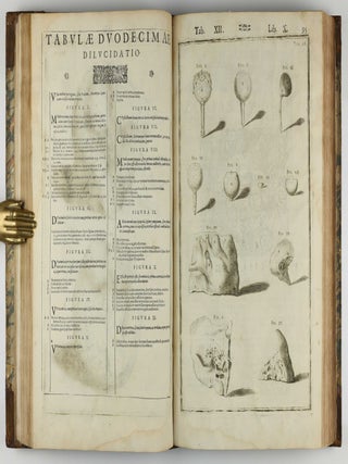 Tabulae anatomicae LXXIIX / De humani corporis fabrica libri decem. Edited by Daniel Bucretius / De formato foetu.