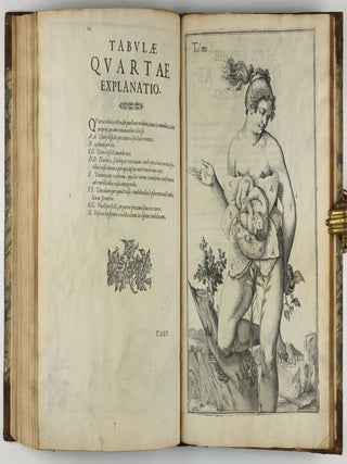 Tabulae anatomicae LXXIIX / De humani corporis fabrica libri decem. Edited by Daniel Bucretius / De formato foetu.
