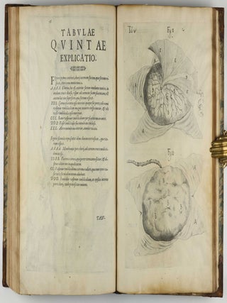 Tabulae anatomicae LXXIIX / De humani corporis fabrica libri decem. Edited by Daniel Bucretius / De formato foetu.
