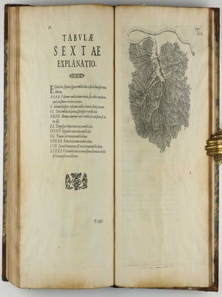 Tabulae anatomicae LXXIIX / De humani corporis fabrica libri decem. Edited by Daniel Bucretius / De formato foetu.