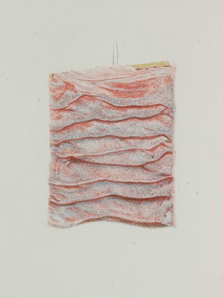 Icon tunicae villosae intestini duodone, justa felicem vasculorum impletionem.