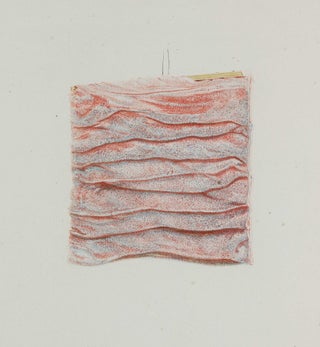 Icon tunicae villosae intestini duodone, justa felicem vasculorum impletionem.