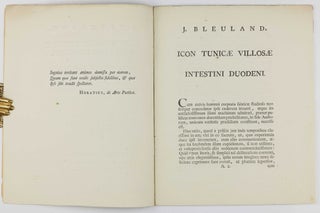 Icon tunicae villosae intestini duodone, justa felicem vasculorum impletionem.
