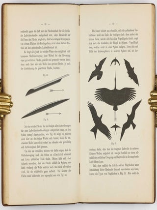 Der Vogelflug als Grundlage der Fliegekunst. Ein Beitrag zur Systematik der Flugtechnik. Auf Grund zahlreicher von O. und G. Lilienthal ausgeführter Versuche.