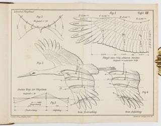 Der Vogelflug als Grundlage der Fliegekunst. Ein Beitrag zur Systematik der Flugtechnik. Auf Grund zahlreicher von O. und G. Lilienthal ausgeführter Versuche.