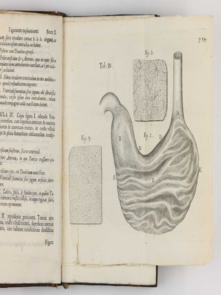 Pharmaceutice rationalis sive diatriba de medicamentorum operationibus in humano corpore...