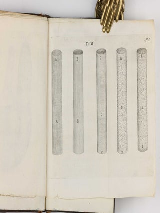 Pharmaceutice rationalis sive diatriba de medicamentorum operationibus in humano corpore...