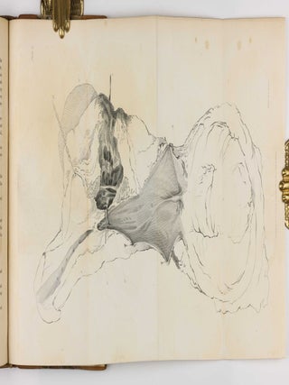 Surgical Observations, being a Quarterly Report of Cases in Surgery, treated in the Middlesex Hospital, in the cancer establishment, and in private practice: embracing an account of the anatomical and pathological researches in the School of Windmill Street.