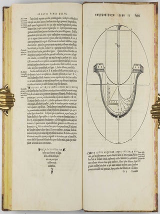 Protomathesis: opus varium, ac scitu non minus utile quam iucundum, nunc primum in lucem foeliciter excusum.