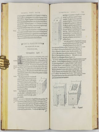 Protomathesis: opus varium, ac scitu non minus utile quam iucundum, nunc primum in lucem foeliciter excusum.