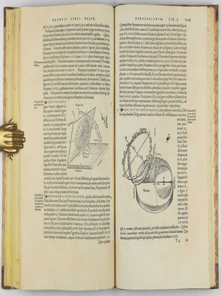 Protomathesis: opus varium, ac scitu non minus utile quam iucundum, nunc primum in lucem foeliciter excusum.