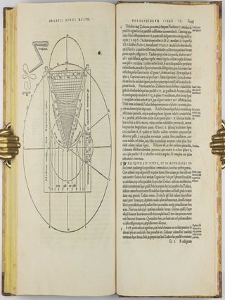 Protomathesis: opus varium, ac scitu non minus utile quam iucundum, nunc primum in lucem foeliciter excusum.