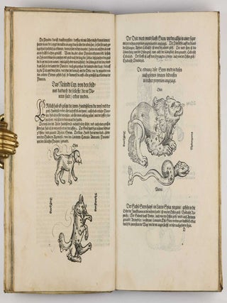 Underweysung der messung, mit dem Zirckel un richtscheyt in Linien ebnen unnd gantzen corporen. / Instrument Buch.
