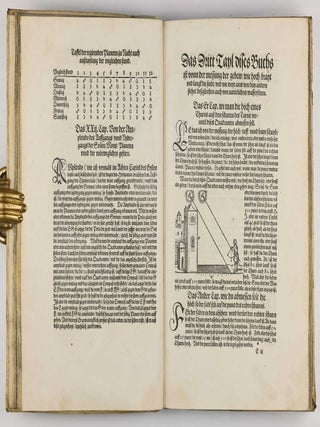 Underweysung der messung, mit dem Zirckel un richtscheyt in Linien ebnen unnd gantzen corporen. / Instrument Buch.