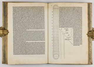 Underweysung der messung, mit dem Zirckel un richtscheyt in Linien ebnen unnd gantzen corporen. / Instrument Buch.