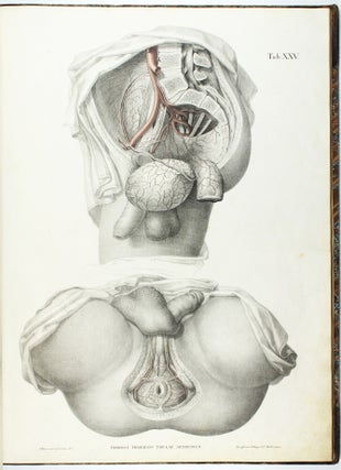 Tabulae arteriarum corporis humani. Abb. d. Pulsadern des menschlichen Körpers. Nebst: Erklärungen d. Abb.