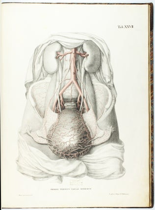 Tabulae arteriarum corporis humani. Abb. d. Pulsadern des menschlichen Körpers. Nebst: Erklärungen d. Abb.
